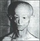 fsrhutch.gif (9957 bytes)